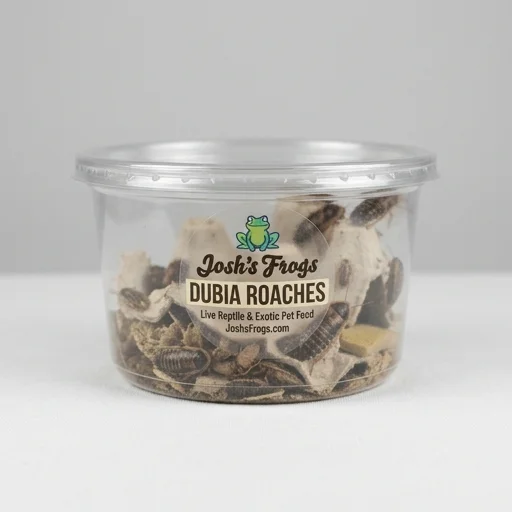 Josh's Frogs Dubia Roaches